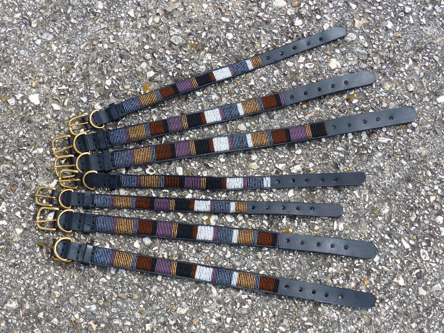 Dog Collars