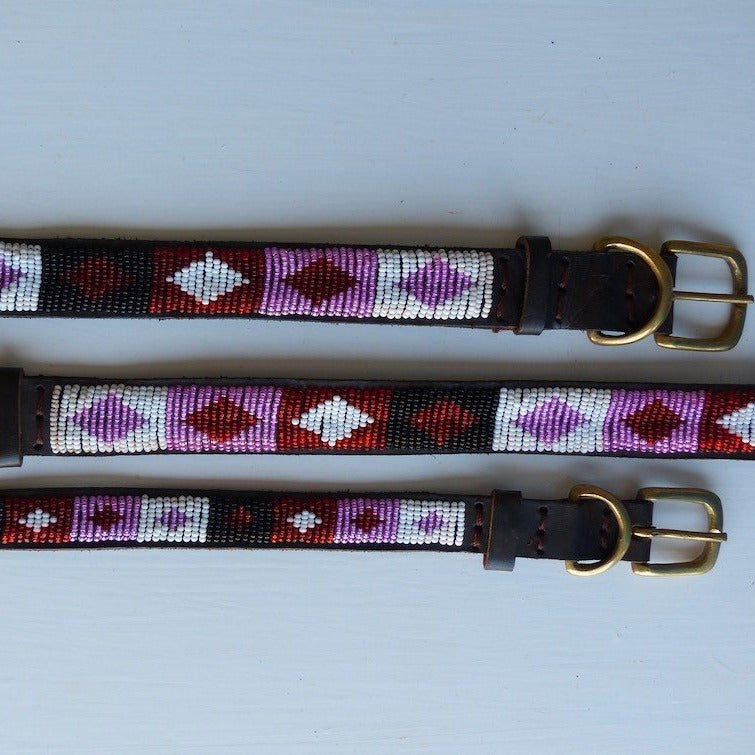 Dog Collars