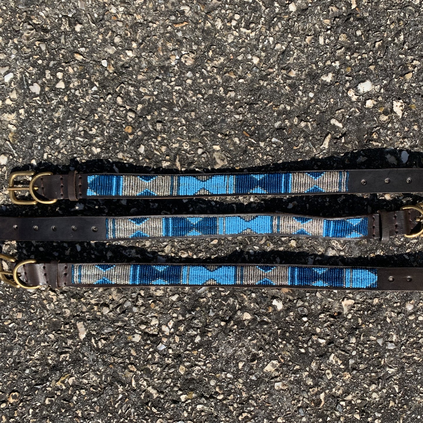 Dog Collars