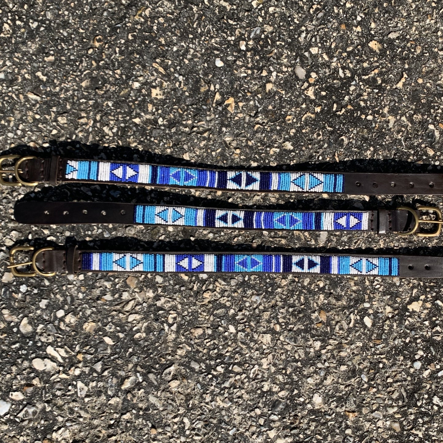 Dog Collars