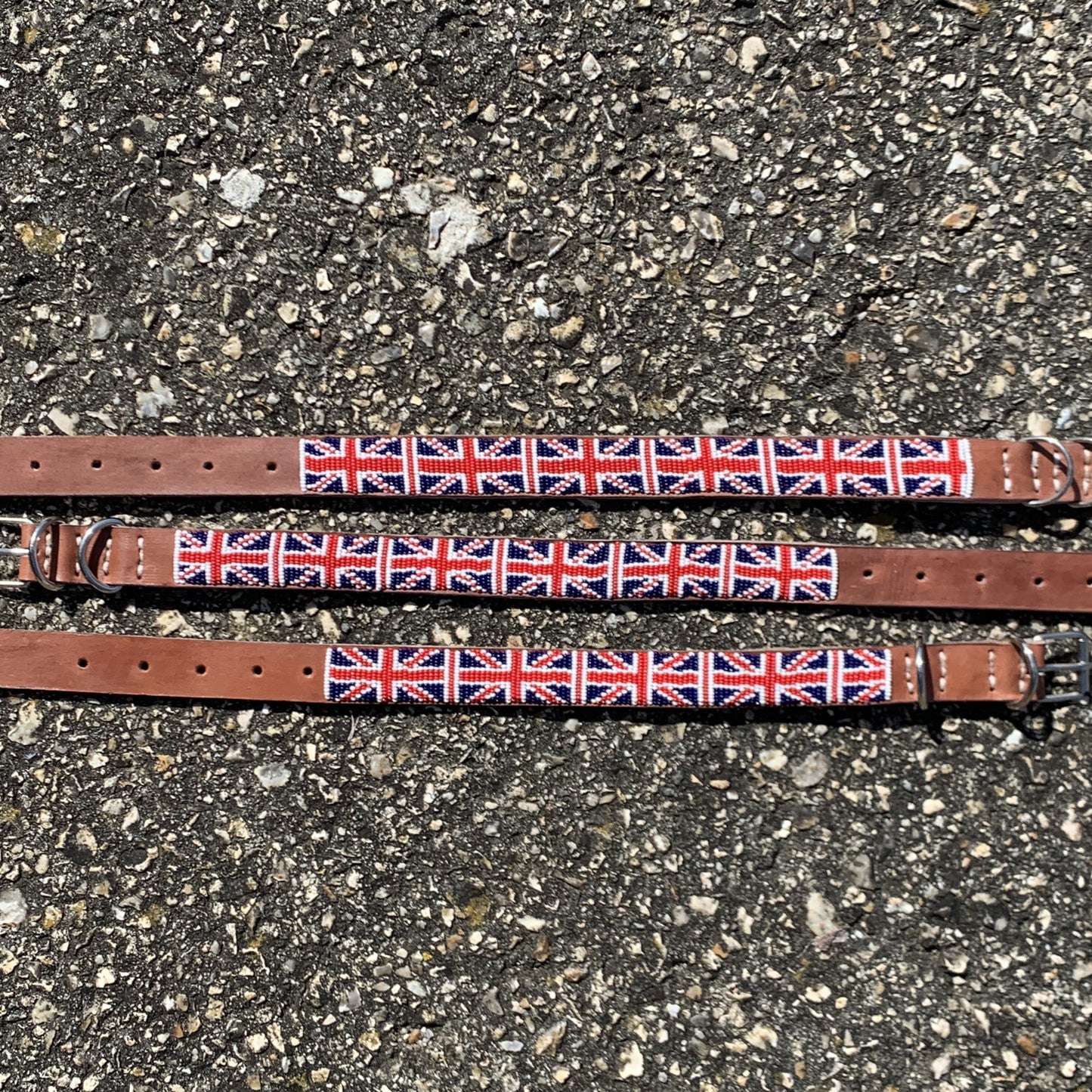 Dog Collars