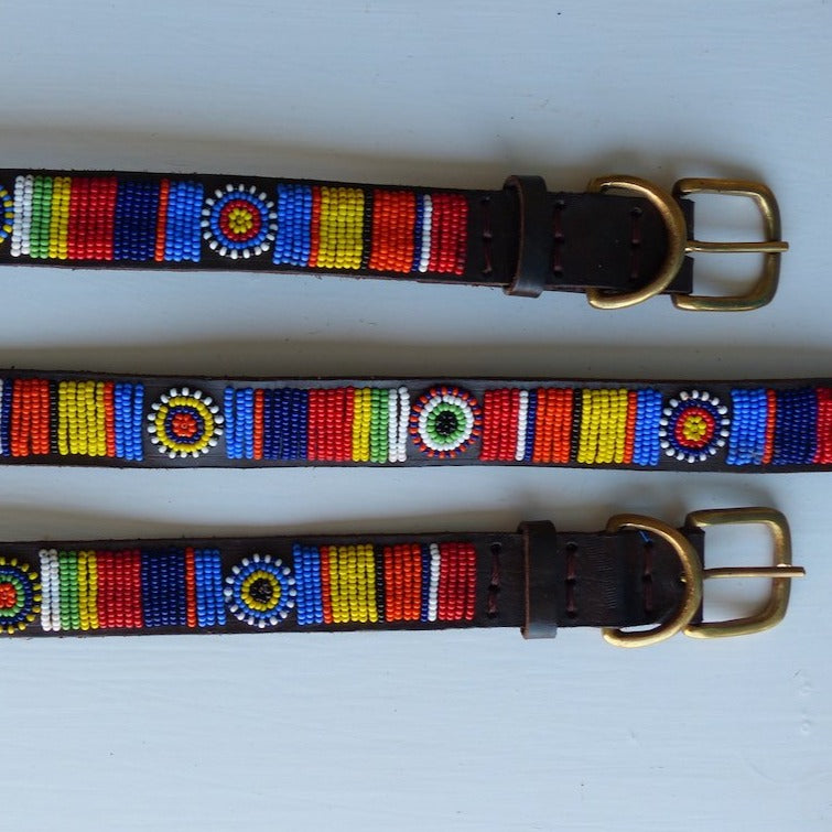 Dog Collars