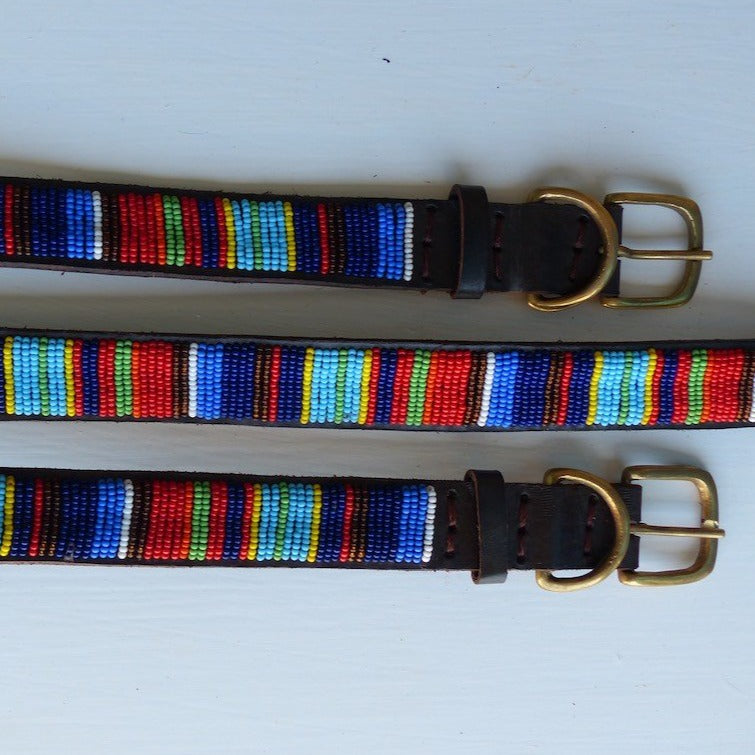 Dog Collars