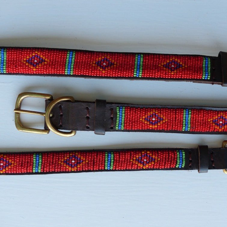 Dog Collars